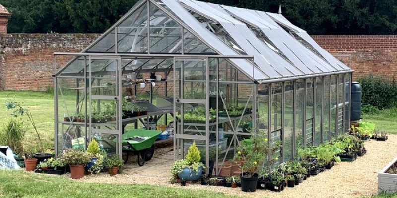 Wimborne-Dorset-Greenhouse-Removal